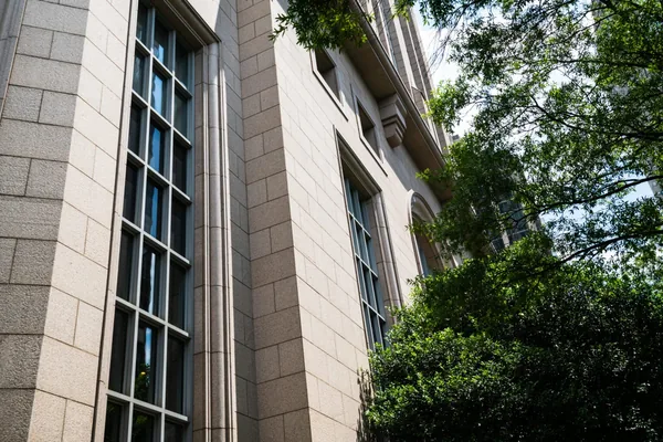 Modern office building exterior with tall windows and climbing ivy vegetation