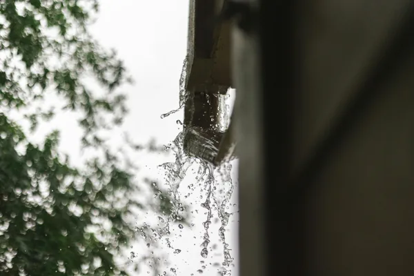 Water streaming down window glass with foliage visible in background