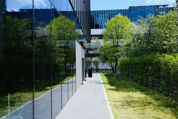 Modern courtyard pathway between glass-walled buildings with green trees